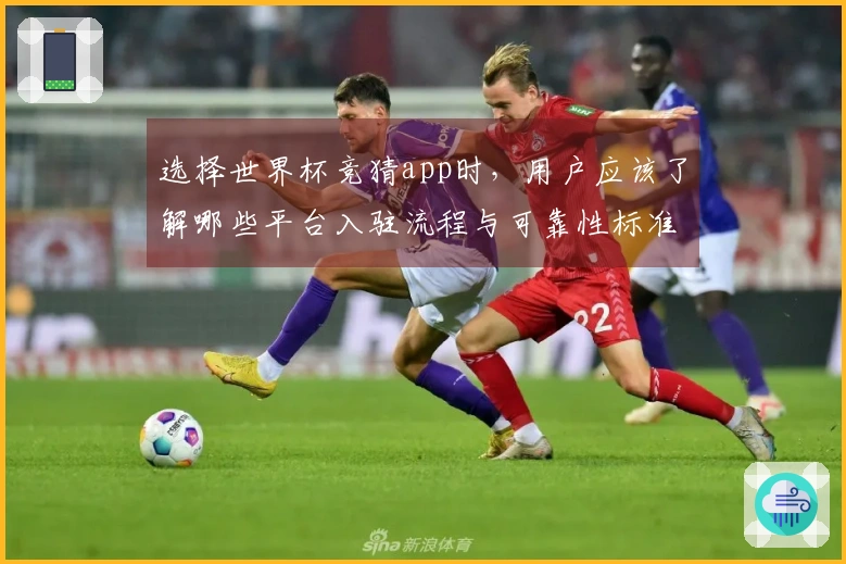 开云体育资讯图片