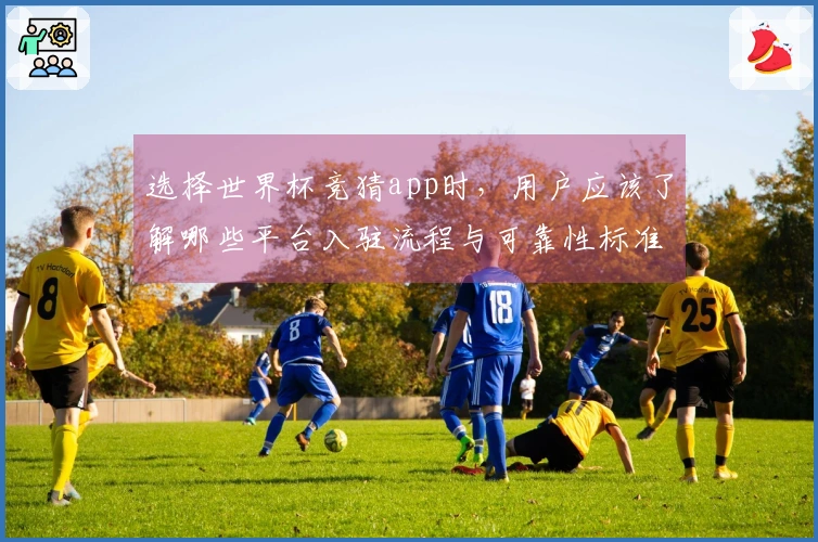 选择世界杯竞猜app时，用户应该了解哪些平台入驻流程与可靠性标准
