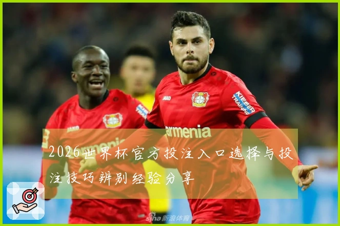 2026世界杯官方投注入口选择与投注技巧辨别经验分享