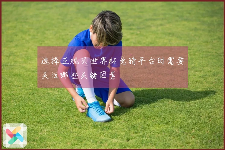 选择正规买世界杯竞猜平台时需要关注哪些关键因素