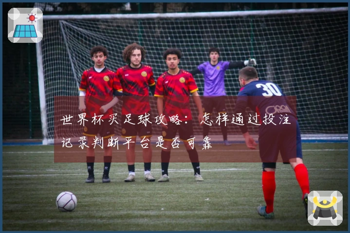 世界杯买足球攻略：怎样通过投注记录判断平台是否可靠