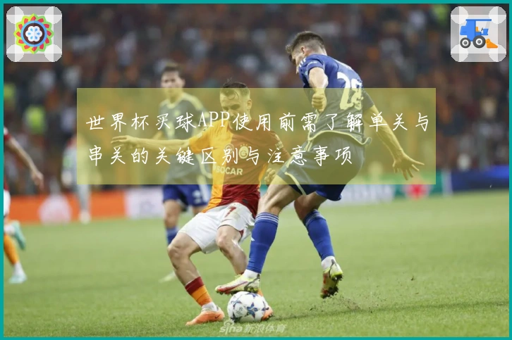世界杯买球APP使用前需了解单关与串关的关键区别与注意事项