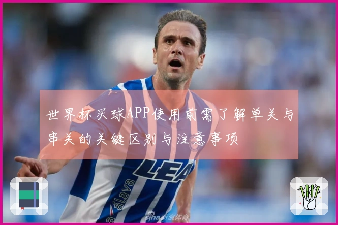 世界杯买球APP使用前需了解单关与串关的关键区别与注意事项