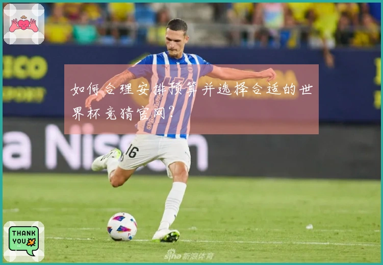 如何合理安排预算并选择合适的世界杯竞猜官网？